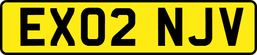EX02NJV