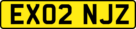 EX02NJZ