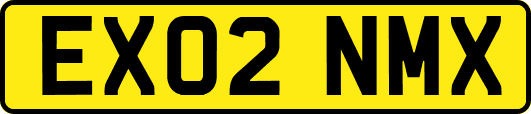 EX02NMX