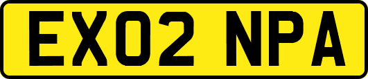 EX02NPA
