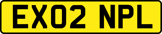 EX02NPL