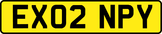 EX02NPY