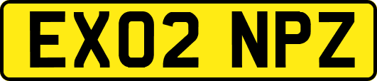 EX02NPZ