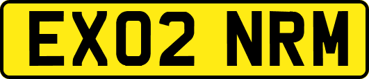 EX02NRM