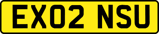 EX02NSU