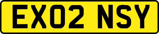 EX02NSY