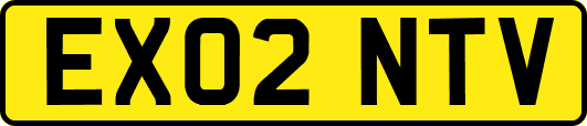 EX02NTV