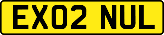 EX02NUL