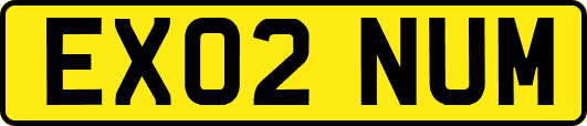 EX02NUM