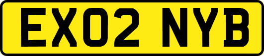 EX02NYB