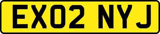 EX02NYJ