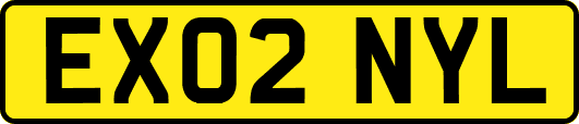 EX02NYL