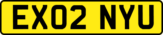 EX02NYU