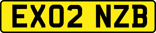 EX02NZB