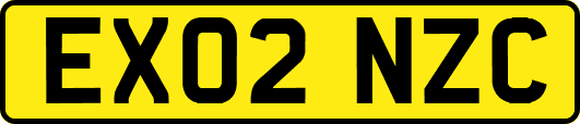 EX02NZC
