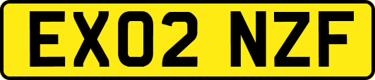 EX02NZF