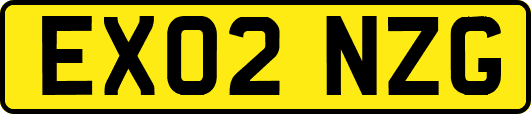 EX02NZG
