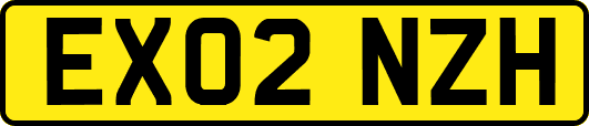 EX02NZH