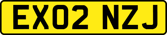 EX02NZJ