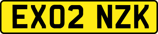 EX02NZK