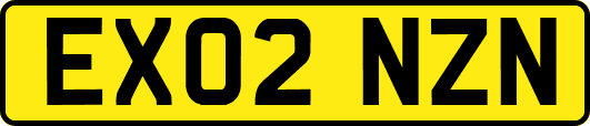 EX02NZN