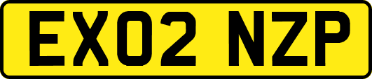 EX02NZP