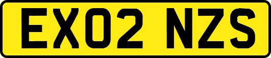 EX02NZS