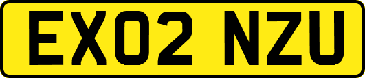 EX02NZU