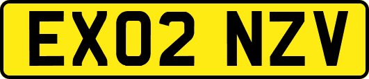 EX02NZV