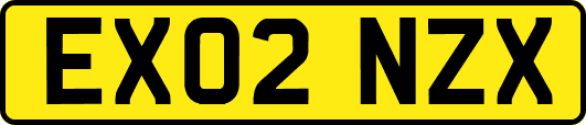 EX02NZX