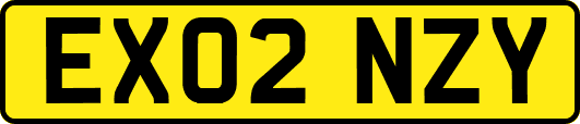 EX02NZY