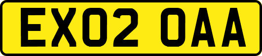 EX02OAA