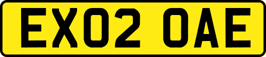 EX02OAE