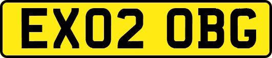 EX02OBG