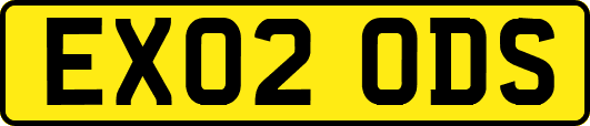 EX02ODS