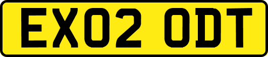 EX02ODT