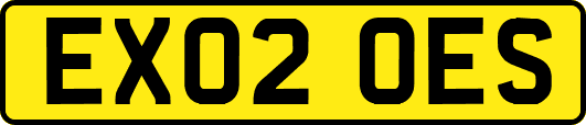 EX02OES