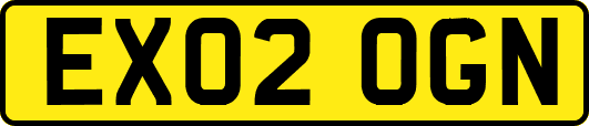EX02OGN