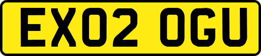 EX02OGU