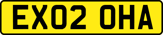 EX02OHA