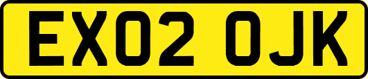 EX02OJK