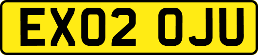 EX02OJU