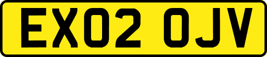 EX02OJV