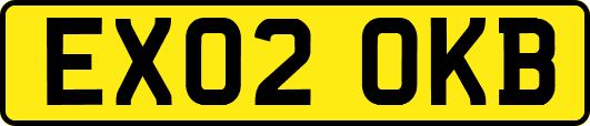 EX02OKB