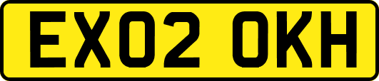 EX02OKH