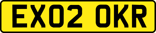 EX02OKR