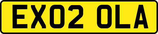 EX02OLA
