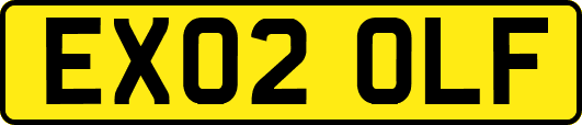 EX02OLF