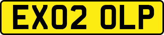 EX02OLP