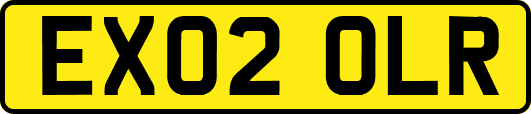 EX02OLR